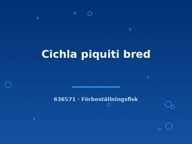 Näsets Ciklidhobby Cichla piquiti bred 4-6 cm rovfisk