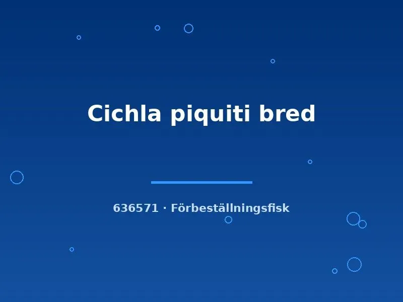 Näsets Ciklidhobby Cichla piquiti bred 4-6 cm rovfisk