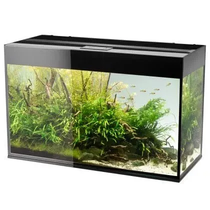 Glossy 472L akvarium svart 472 liter