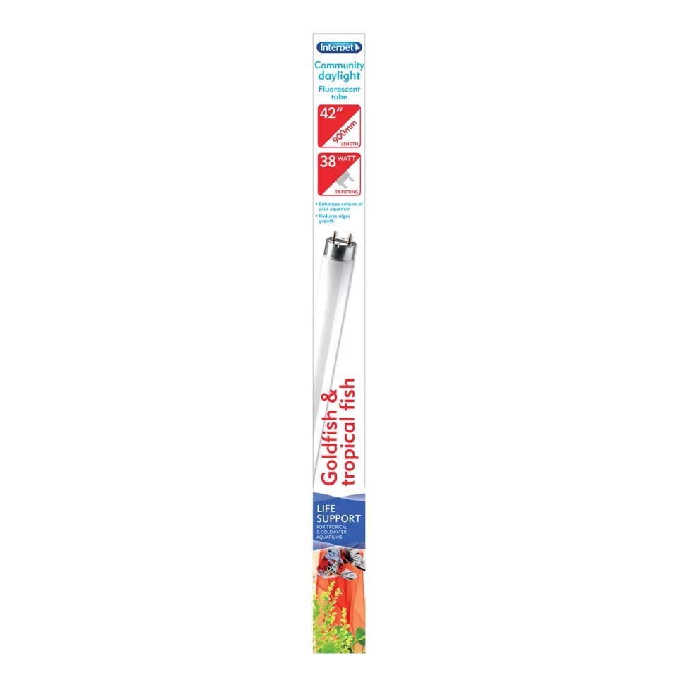 Interpet T8 Community Daylight lysrör 38W 107cm dagsljus