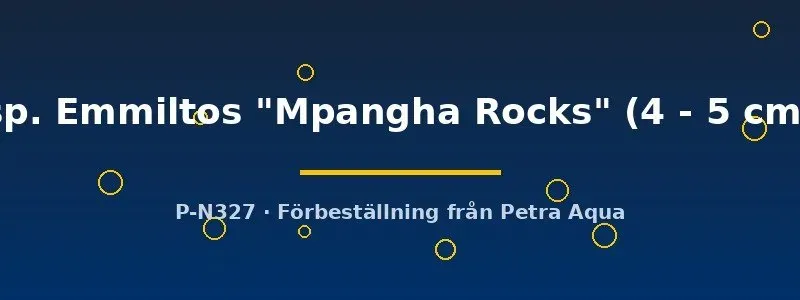Näsets Metriaclima Emmiltos Mpangha Rocks ciklid 4–5 cm