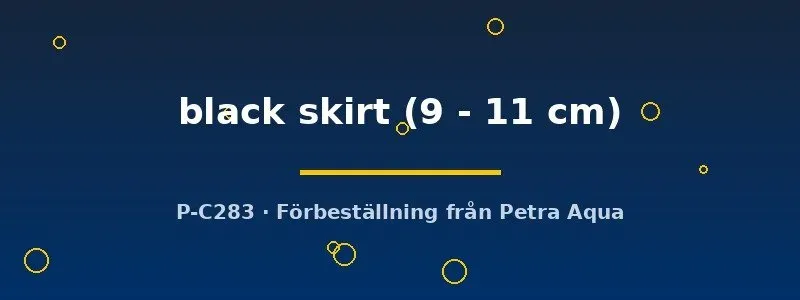Näsets Ciklidhobby Black Skirt slöjstjärt akvariefisk 9–11 cm