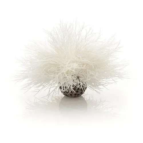 biOrb Sea Lily akvarieväxt blå