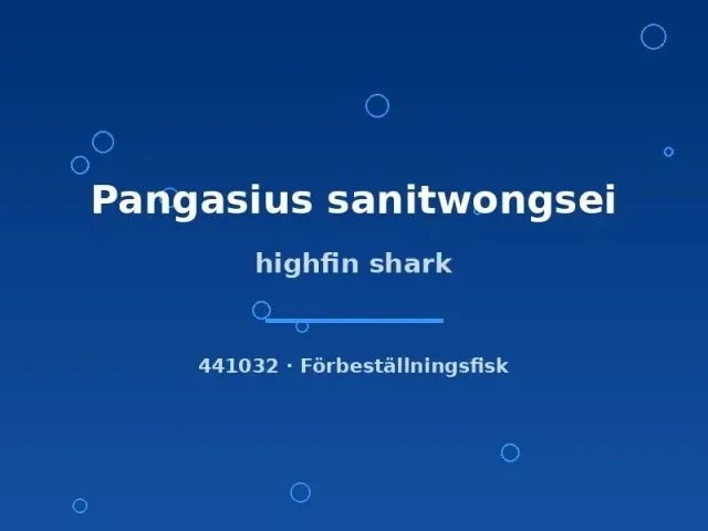 Näsets Ciklidhobby Highfin Shark hajmal 5–7 cm jätteväxande