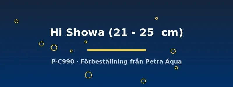 Koi Hi Showa 21–25 cm dammfisk vit-röd-svart