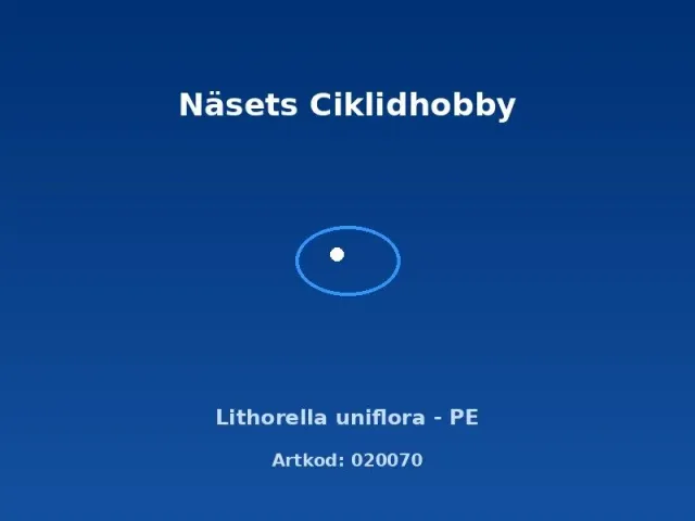 Näsets Ciklidhobby Lithorella uniflora akvarieväxt PE matta