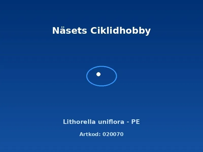 Näsets Ciklidhobby Lithorella uniflora akvarieväxt PE matta