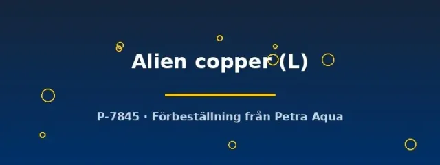 Näsets Ciklidhobby Alien Copper kampfisk hona L