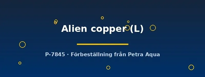 Näsets Ciklidhobby Alien Copper kampfisk hona L