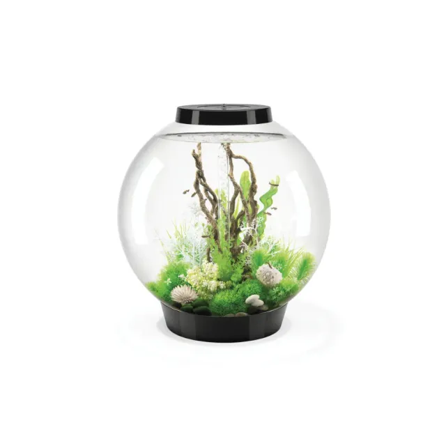 biOrb Classic 105 MCR akvarium 105 liter svart