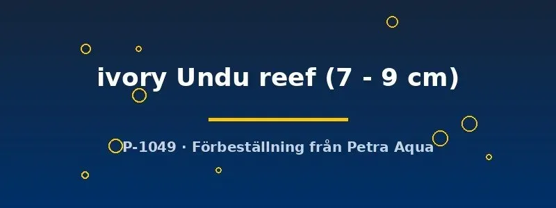 Haplochromis ivory Undu reef ciklid 7–9 cm vit
