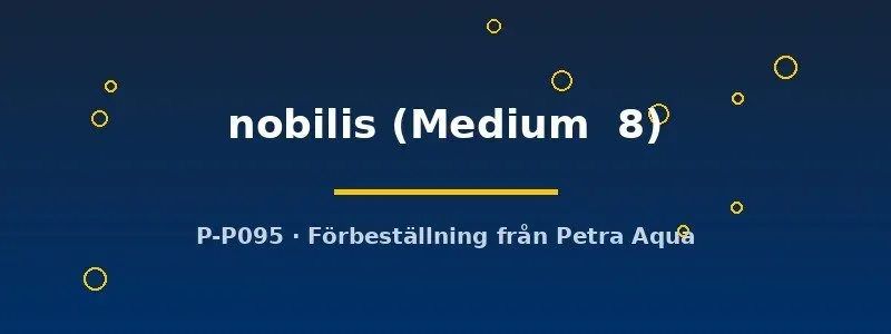 Fissidens nobilis akvariemossa Medium 8 mörkgrön