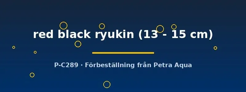 Näsets Ciklidhobby Ryukin guldfisk 13–15 cm röd-svart