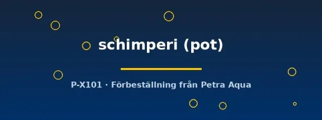 Näsets Ciklidhobby Justicia schimperi växt pot sumpväxt