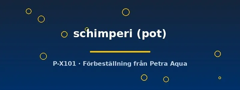 Näsets Ciklidhobby Justicia schimperi växt pot sumpväxt