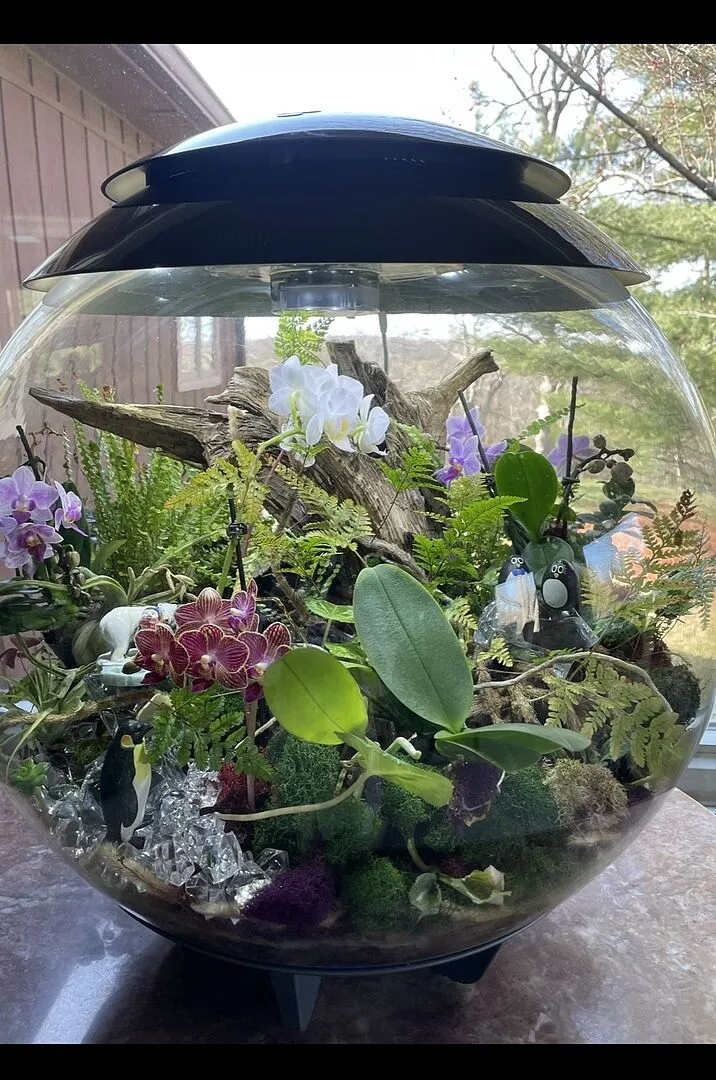 biOrb Air 60 terrarium 60 liter grå automatisk dimma