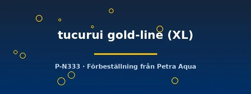 Apistogramma Tucurui Gold Line dvärgciklid XL