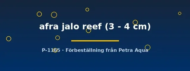 Cynotilapia afra Jalo Reef malawiciklid 3–4 cm blå