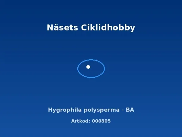 Näsets Ciklidhobby Hygrophila polysperma akvarieväxt BA snabbväxande