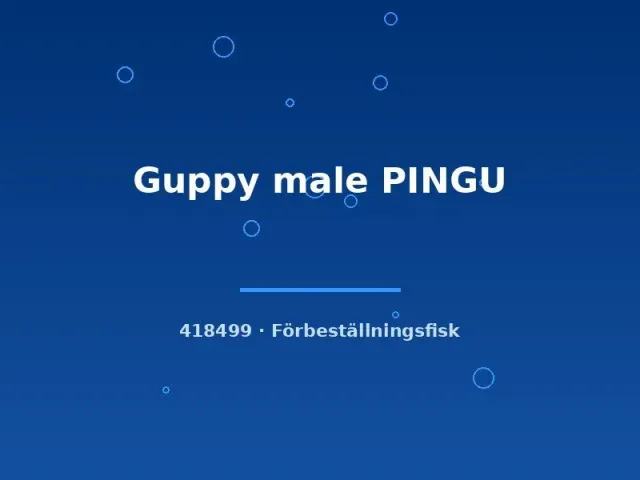 Näsets Ciklidhobby Guppy male PINGU lg akvariefisk hane