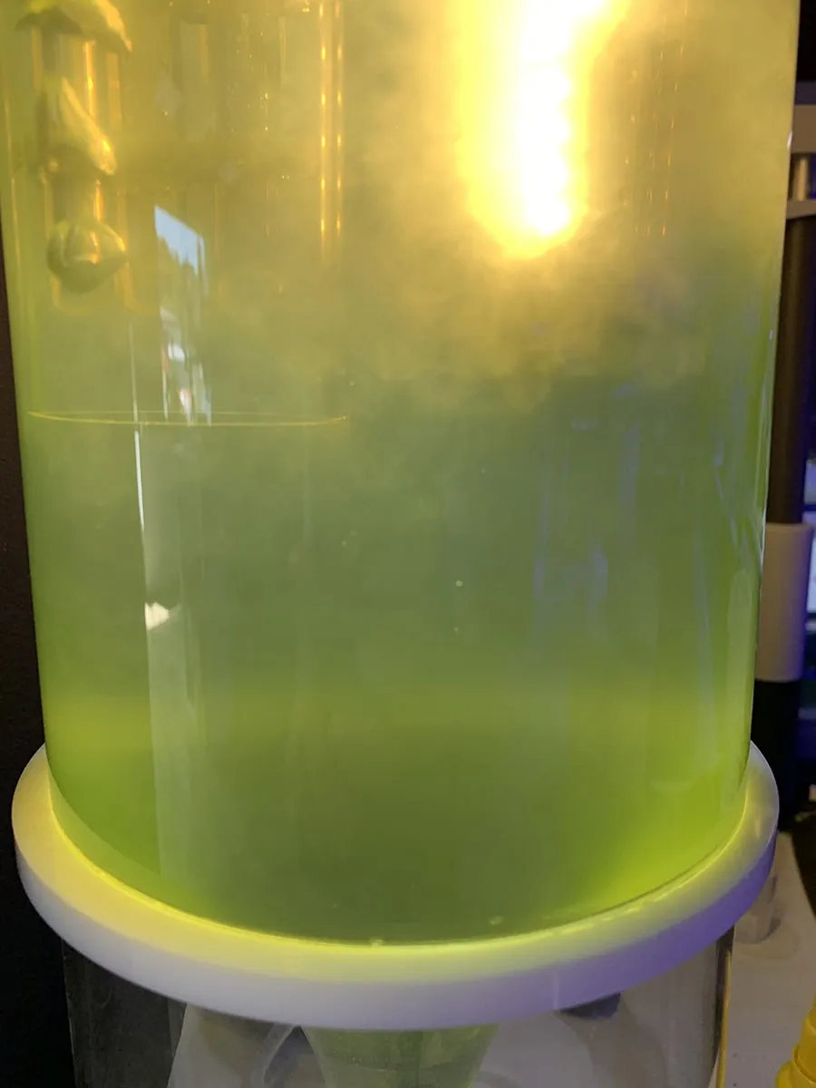 Pacific Sun PR 70/110 planktonreaktor 5 liter fytoplankton