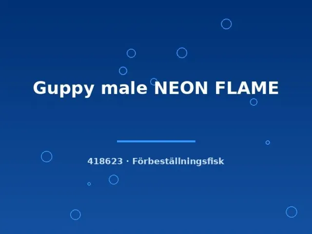 Näsets Guppy Neon Flame hane akvariefisk lg livlig färg