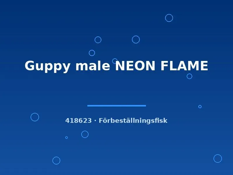 Näsets Guppy Neon Flame hane akvariefisk lg livlig färg