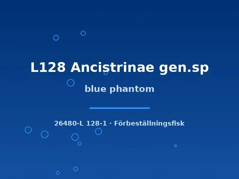 Näsets Ciklidhobby Blue phantom L128 3–4 cm mal algätare
