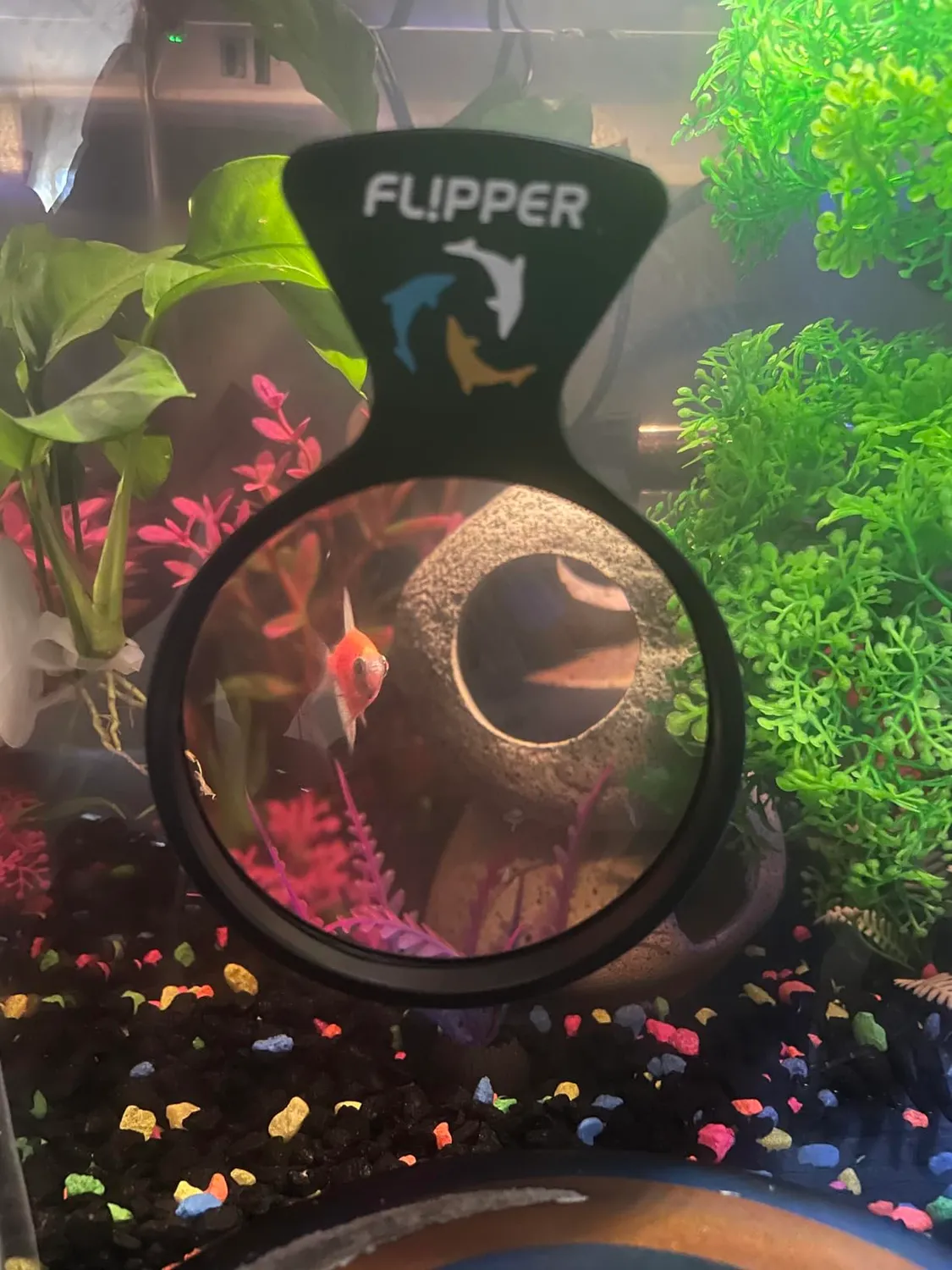 DeepSee Viewer Clear 4" akvarieviewer klar lins