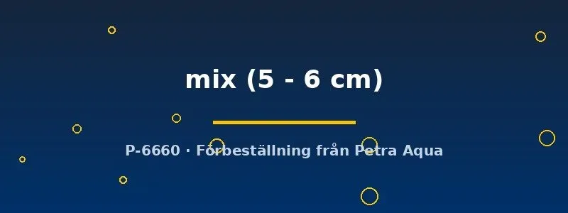 Näsets Ciklidhobby Poecilia mix 5–6 cm mollyfisk