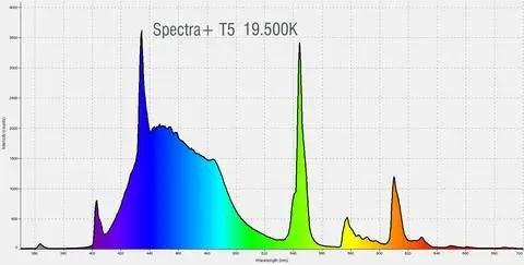 Pacific Sun Spectra+ T5 HO T5-rör 54W 19500K