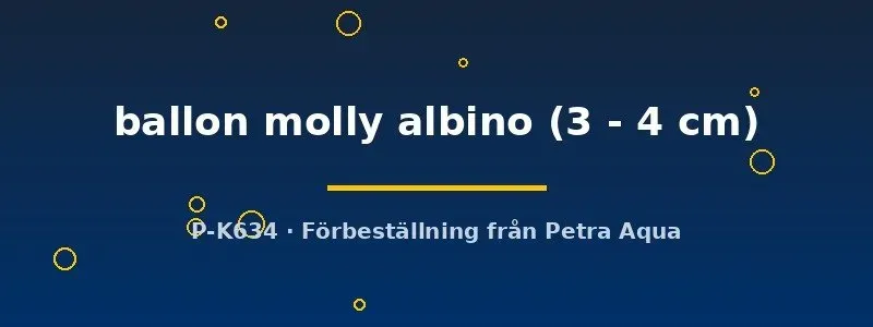 Näsets Ciklidhobby Poecilia latipinna ballon molly akvariefisk