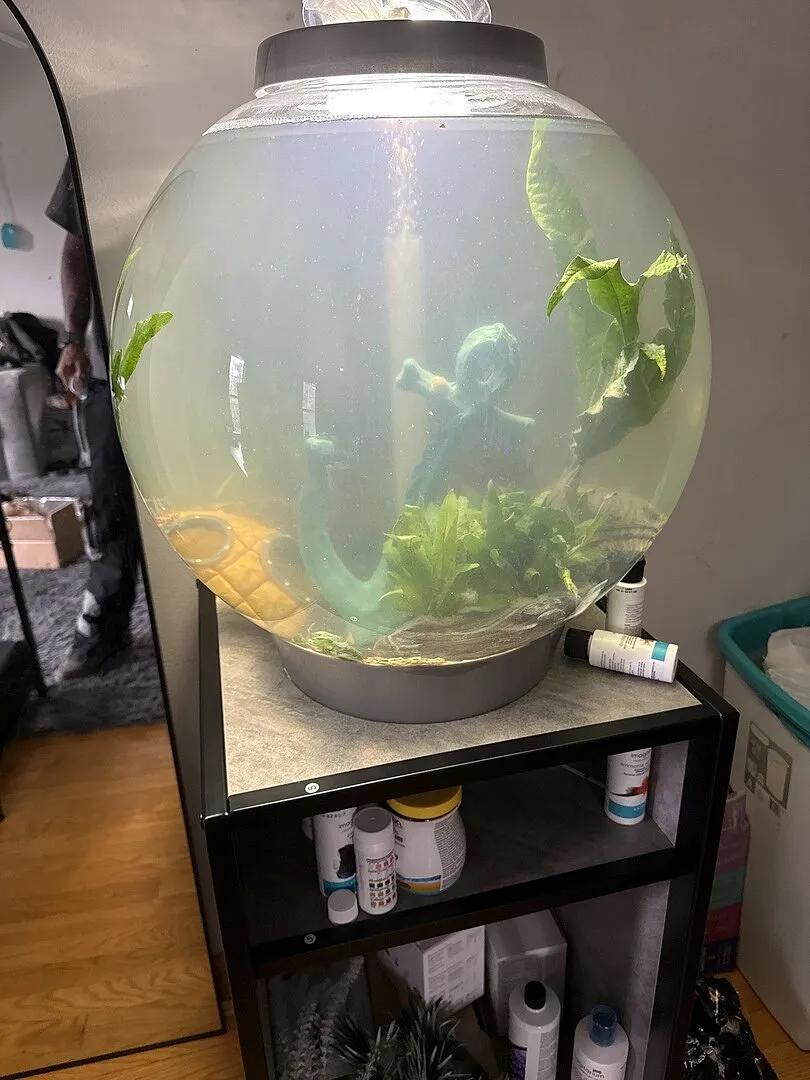 biOrb Classic 60 akvarium 60 liter silver MCR-ljus