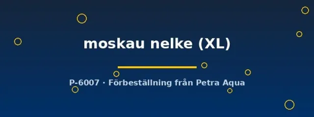 Näsets Ciklidhobby Poecilia reticulata Moskau Nelke guppy XL hane