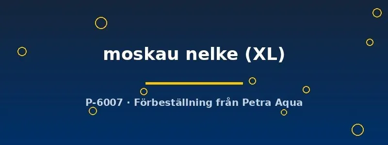 Näsets Ciklidhobby Poecilia reticulata Moskau Nelke guppy XL hane
