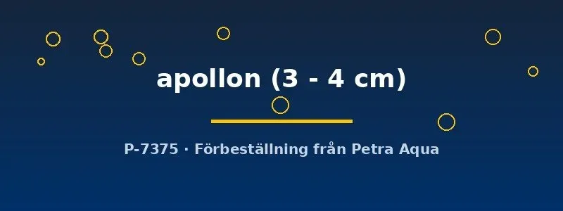 Näsets Ciklidhobby Betta apollon kampfisk 3–4 cm vildform