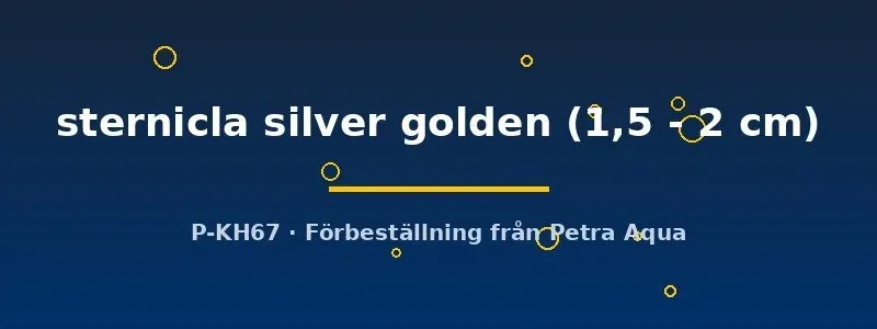 Näsets Ciklidhobby Gasteropelecus sternicla yxfisk 1,5–2 cm silver