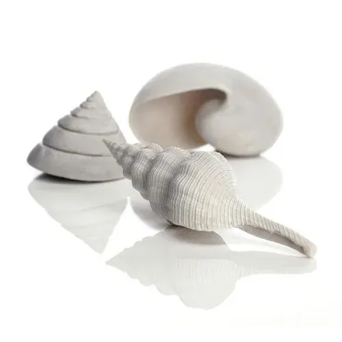 biOrb Seashell Set akvariedekoration natur 3-pack