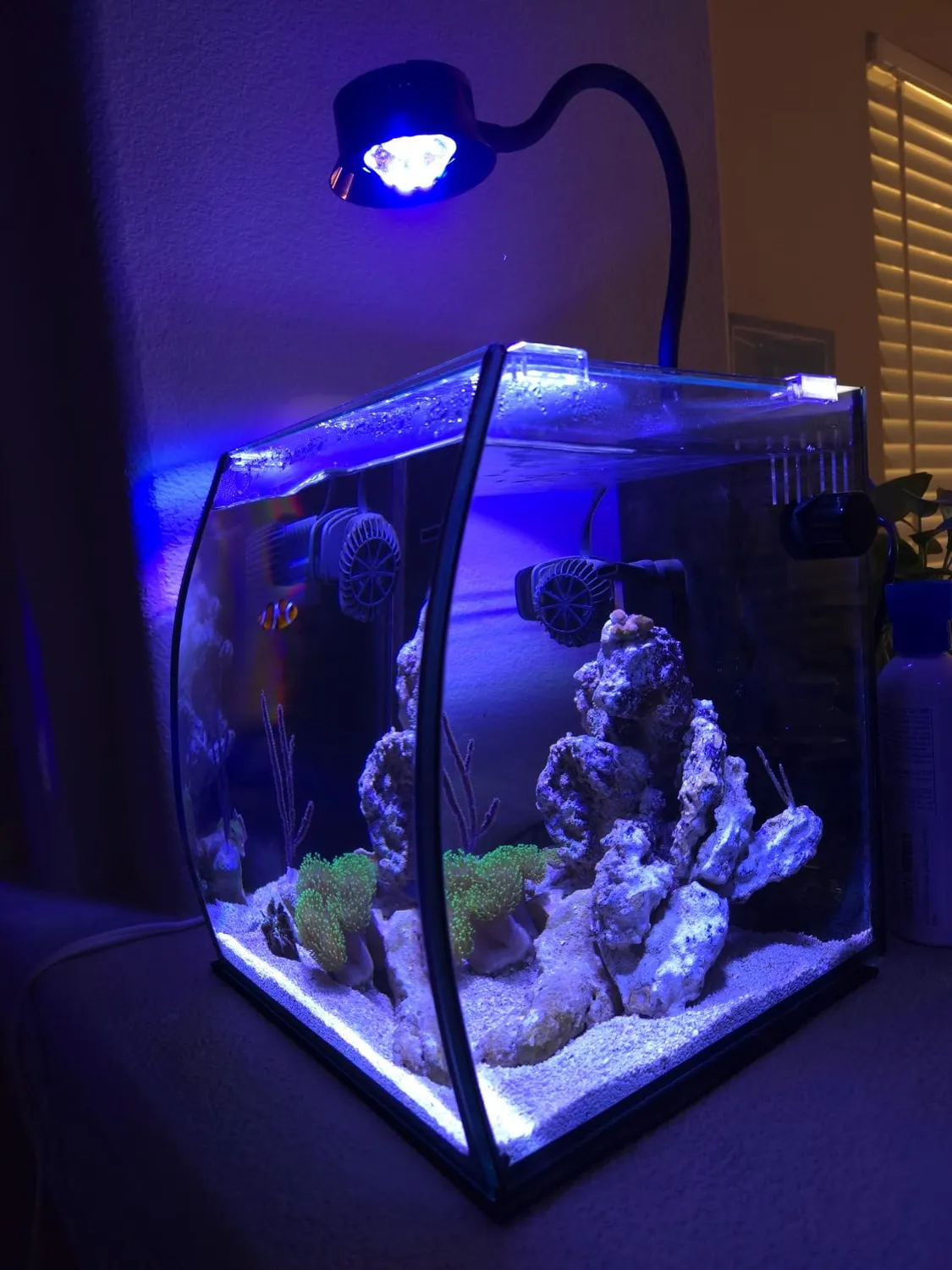 Flipper Pico magnetskrapa svart för 6 mm glas