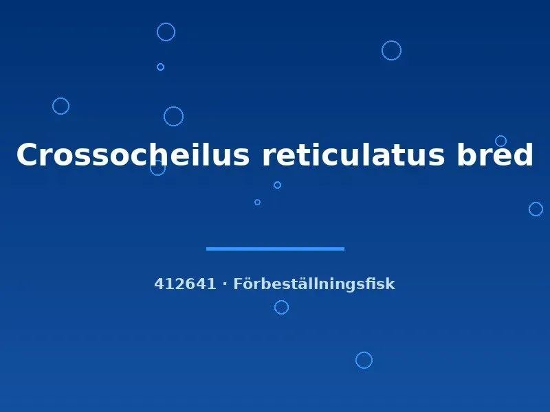Näsets Ciklidhobby Crossocheilus reticulatus algätare 2–3 cm