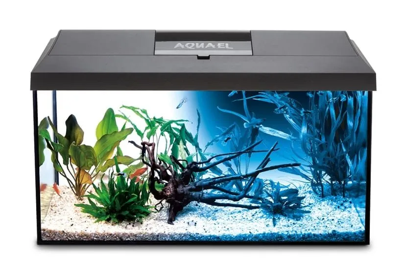 Näsets Ciklidhobby Set Premium Day&Night akvarium 54L svart