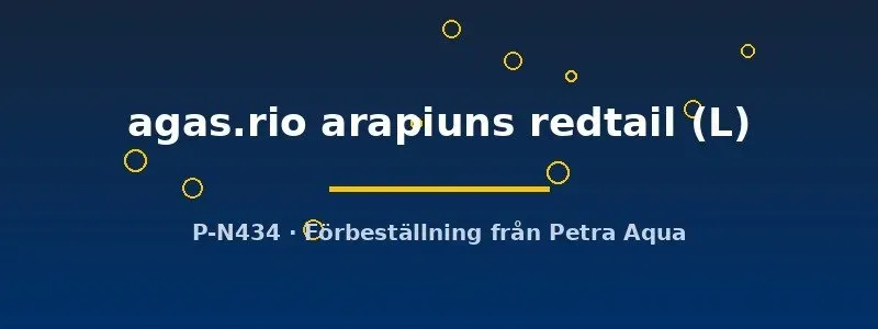 Näsets Ciklidhobby Apistogramma agassizii redtail L dvärgciklid