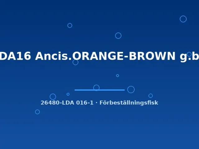 Näsets Ciklidhobby LDA16 Ancis Orange-Brown akvariefisk 4-5 cm algätare