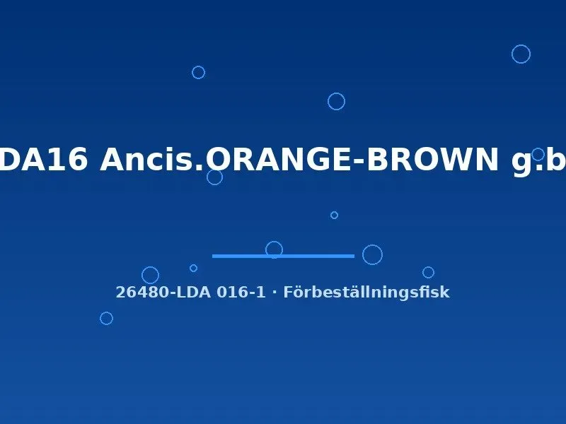 Näsets Ciklidhobby LDA16 Ancis Orange-Brown akvariefisk 4-5 cm algätare