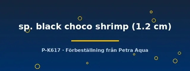 Näsets Ciklidhobby Neocaridna black choco shrimp räka 1,2 cm