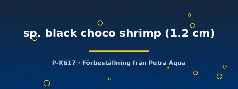 Näsets Ciklidhobby Neocaridna black choco shrimp räka 1,2 cm