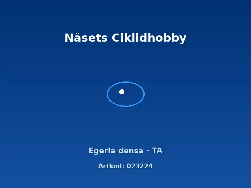Näsets Ciklidhobby Egeria densa TA akvarieväxt
