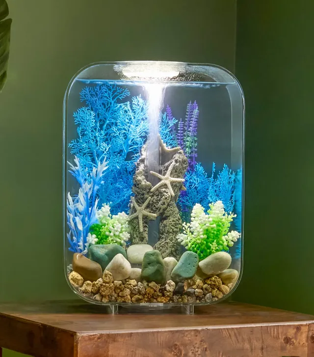 biOrb Ocean Breeze akvariedekoration set marin