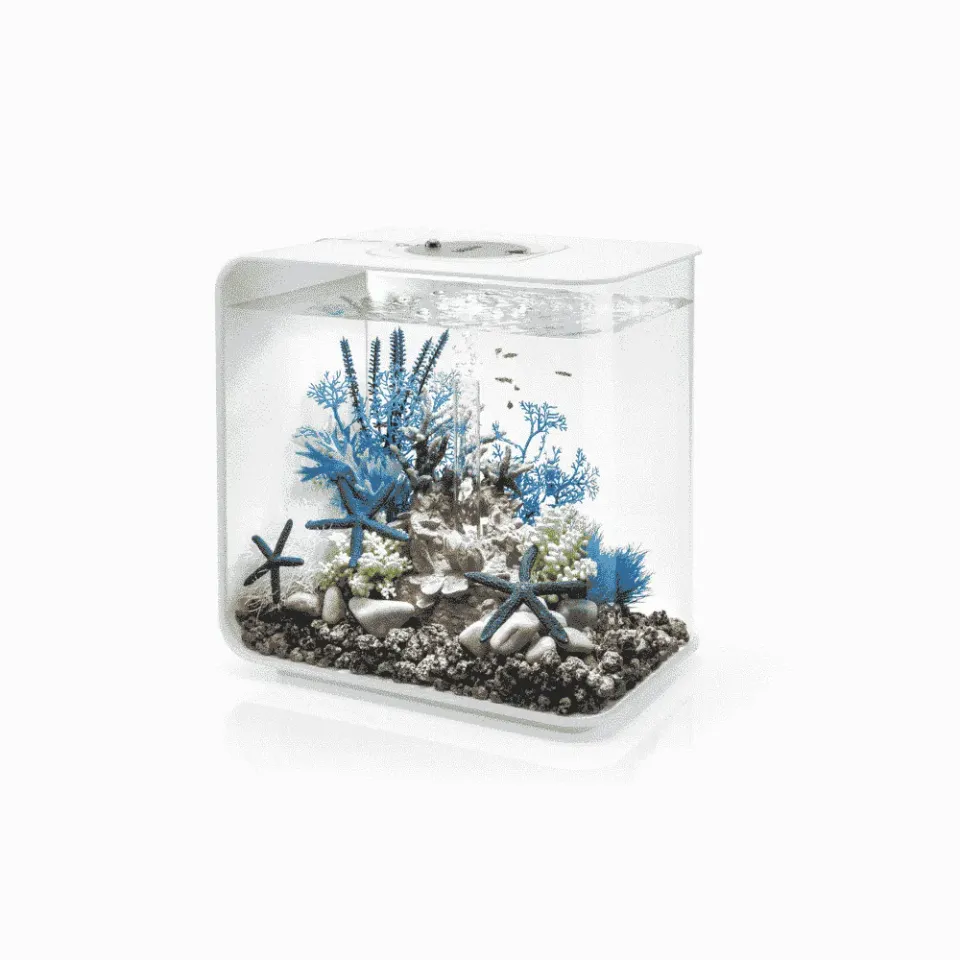 biOrb Flow 30 LED akvarium 30 liter vit