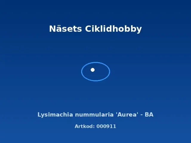 Näsets Ciklidhobby Lysimachia nummularia Aurea akvarieväxt BA